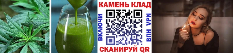 shop клад  Новомосковск  Canna-Cookies марихуана  купить наркотики цена 