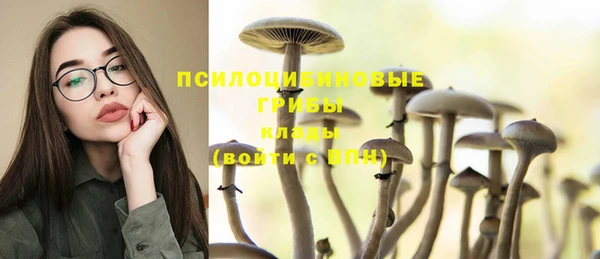 стафф Вязьма