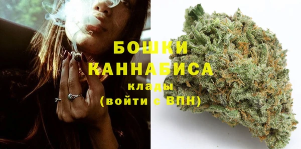 стафф Вязьма