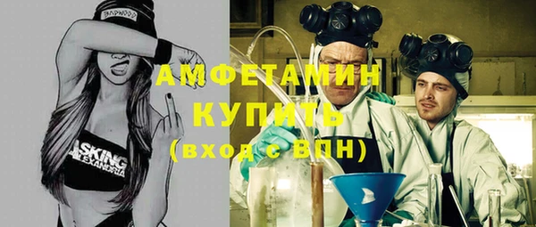 стафф Вязьма