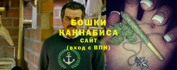 стафф Вязьма
