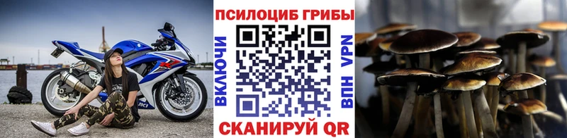 Псилоцибиновые грибы GOLDEN TEACHER Новомосковск